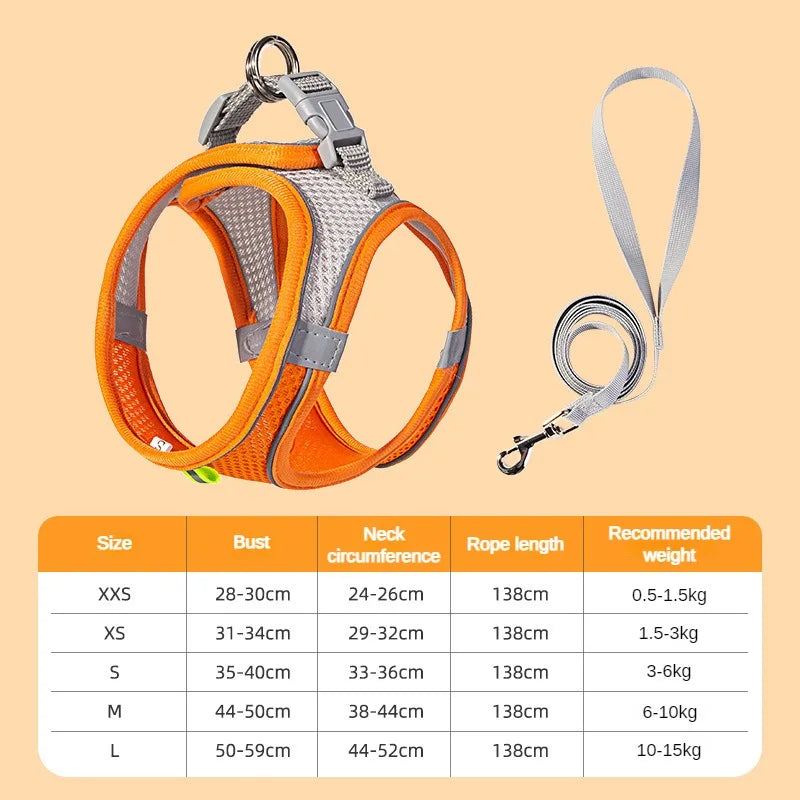 Verstellbare Geschirrweste mit Halsband und Leine