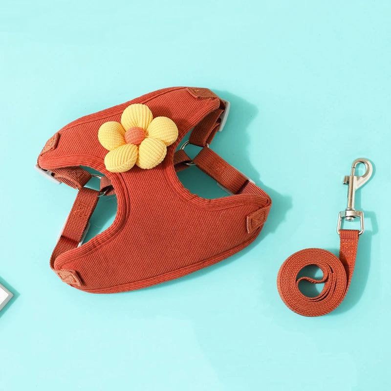 Hundegeschirr mit 1,2 m Leine