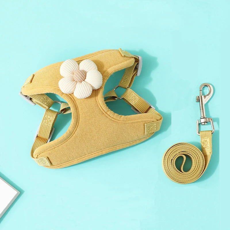 Hundegeschirr mit 1,2 m Leine