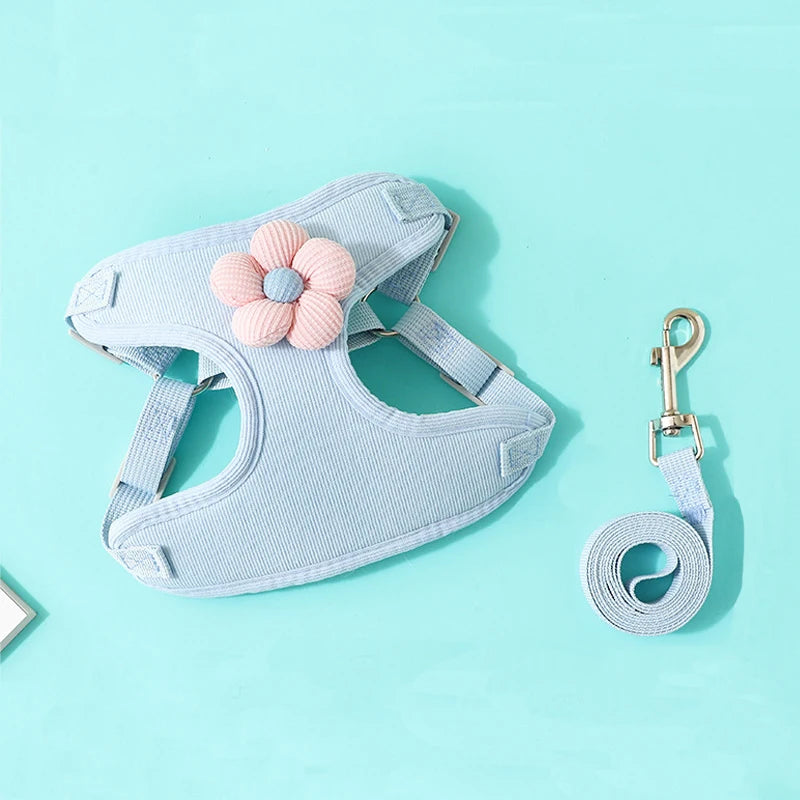 Hundegeschirr mit 1,2 m Leine